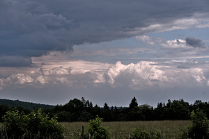 DSCF0538