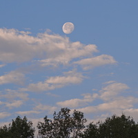 DSCF0602