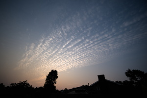 DSCF0604