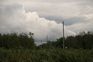 DSCF0655