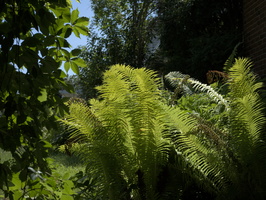 DSCF0657